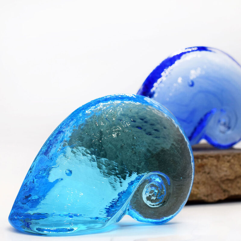 Glass Nautilus Shell