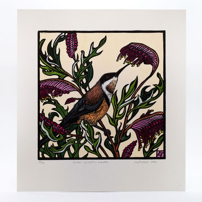 ‘Eastern Spinebill on Grevillea’ unframed